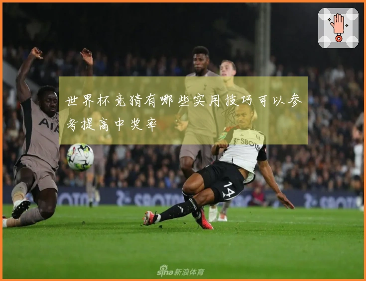 世界杯竞猜有哪些实用技巧可以参考提高中奖率
