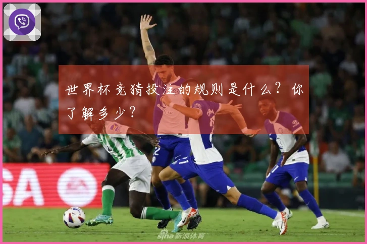 世界杯竞猜投注的规则是什么？你了解多少？