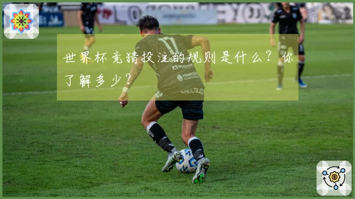 世界杯竞猜投注的规则是什么？你了解多少？