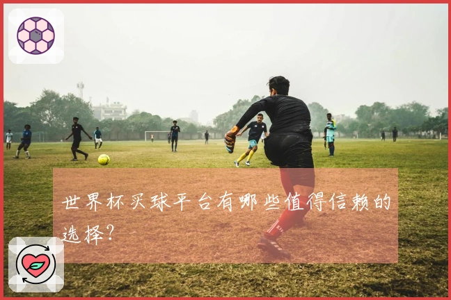 世界杯买球平台有哪些值得信赖的选择？