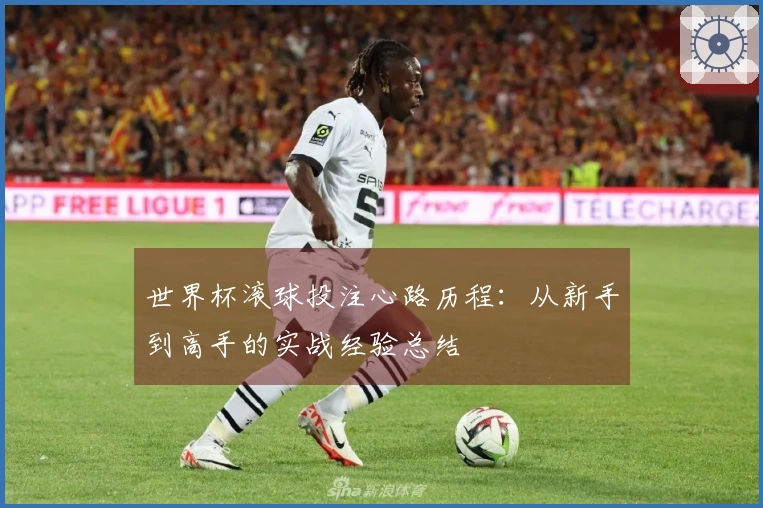 世界杯滚球投注心路历程：从新手到高手的实战经验总结